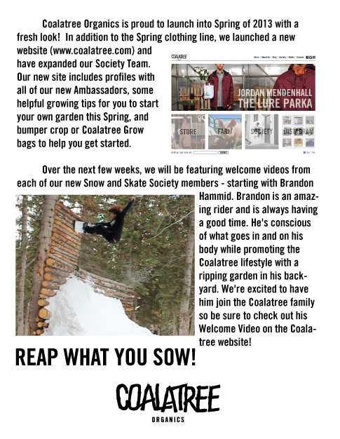 Brandon Hammid now on Coalatree Organics