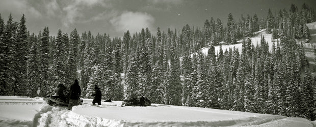 STM Powder Hounds.