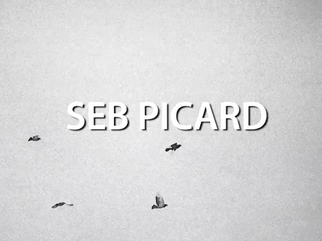 Seb Picard Part from The Awakening