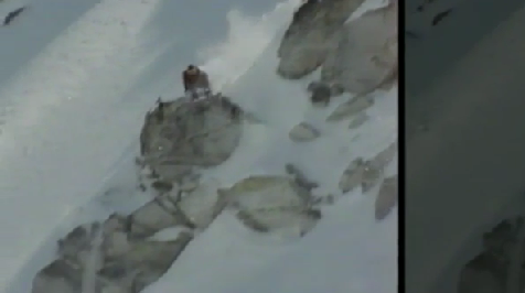 Living Legends Video: Shin Campos