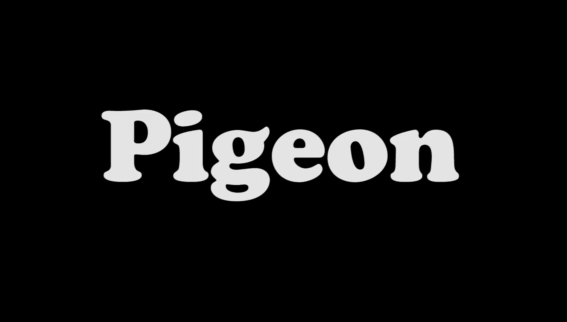 Pigeon by W.A.R.U.