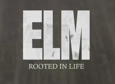 Elm Edit with Sean Genovese