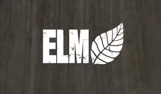 Jake OE Elm Remix