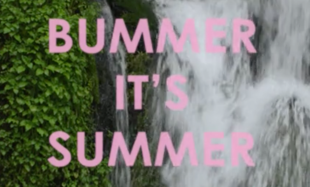 Vans Summer with Darrell and Zac