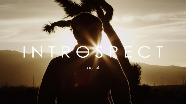 Vans Introspect With Darrell Mathes