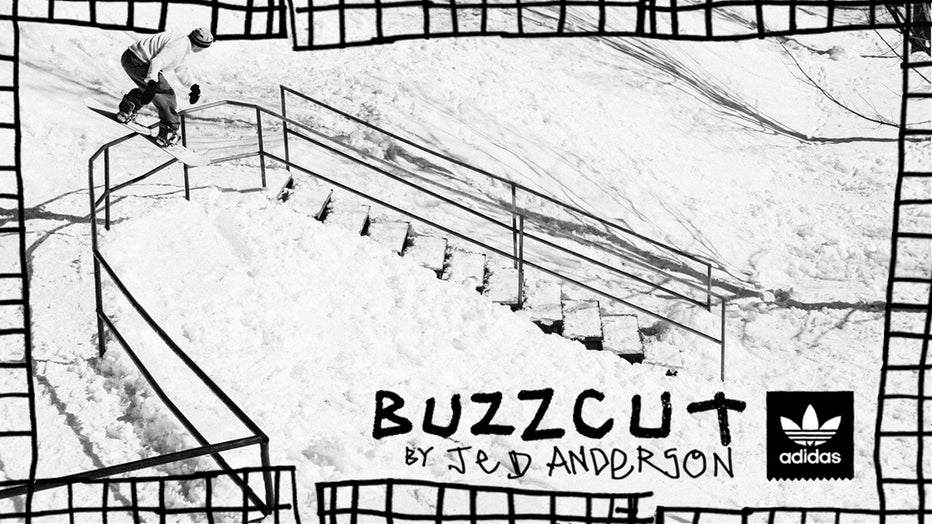 BUZZCUT BY JED ANDERSON