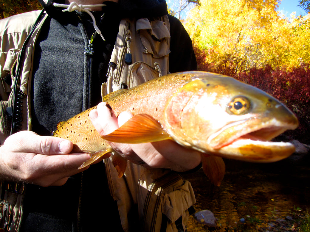 Fishing With Joe Sexton and Jake OE