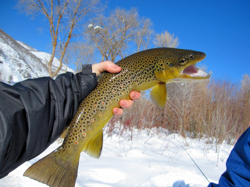 Past Two Days in Utah