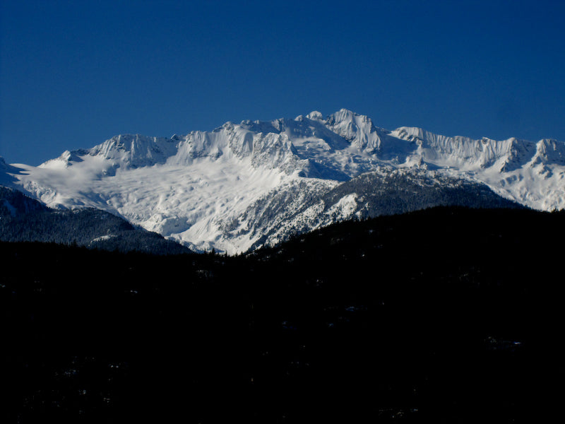 Backcountry Blog March