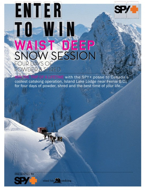 Win Four Days Of Cat Boarding
