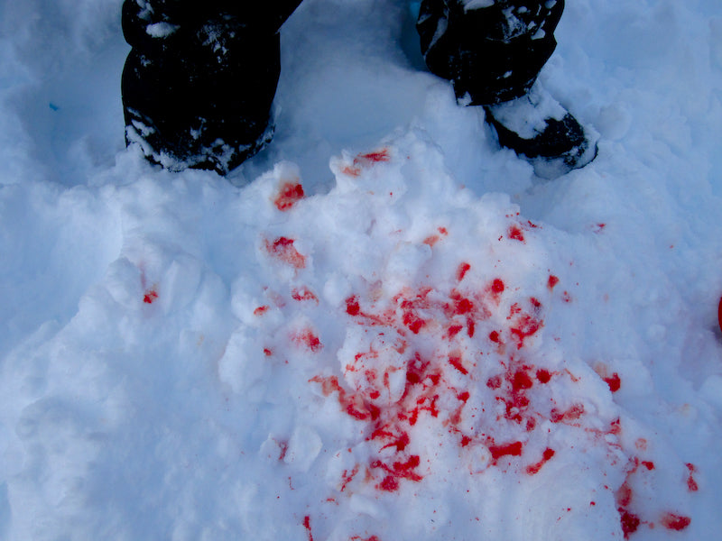 A Few Backcounty Photos